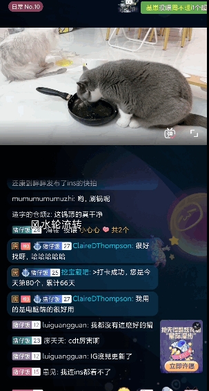 小米闻声