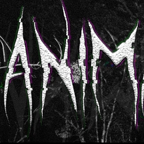 动物观察员 动物观察员