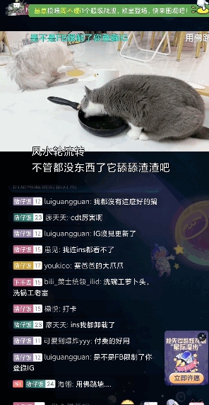 小米闻声