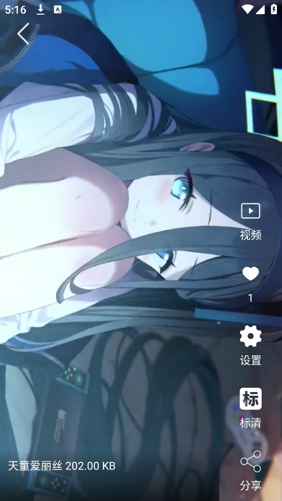 视频壁纸（VideoWallpaper）