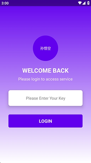 孙悟空直装