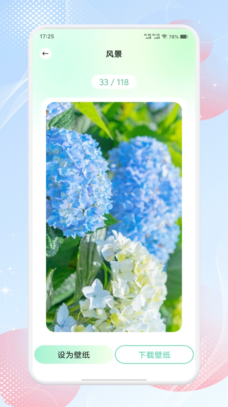 荷花壁纸