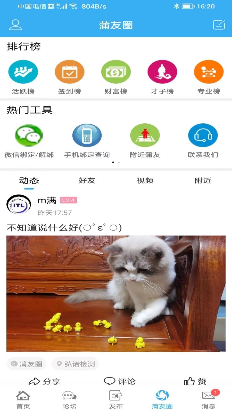 蒲公英