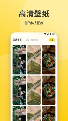 魅魔岛壁纸