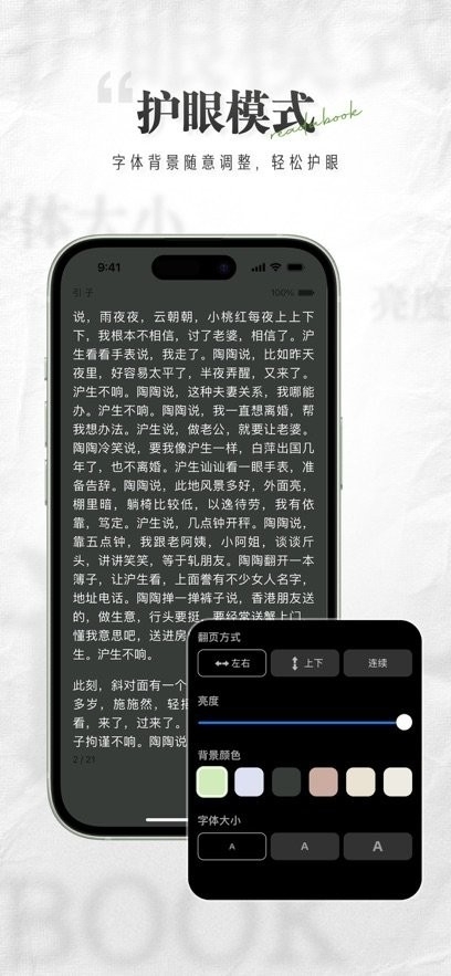 掌旗小说阅读器