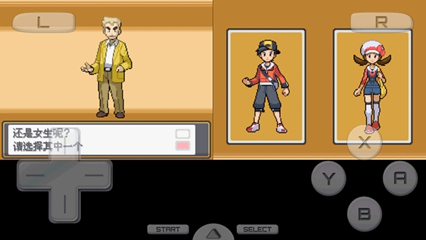 口袋妖怪心金安卓版nds