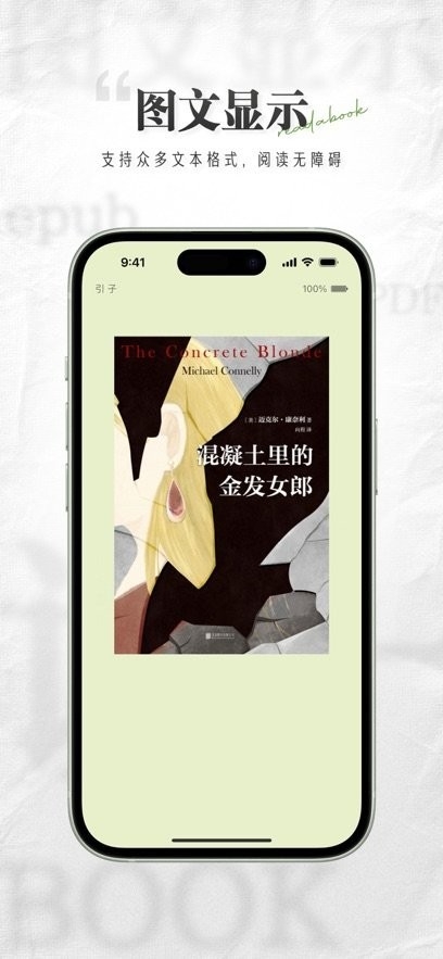 掌旗小说阅读器