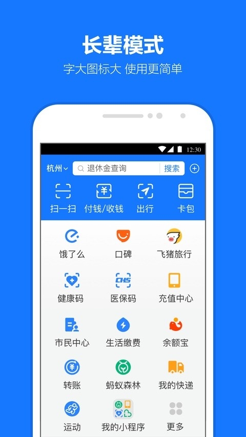 支付宝定制版