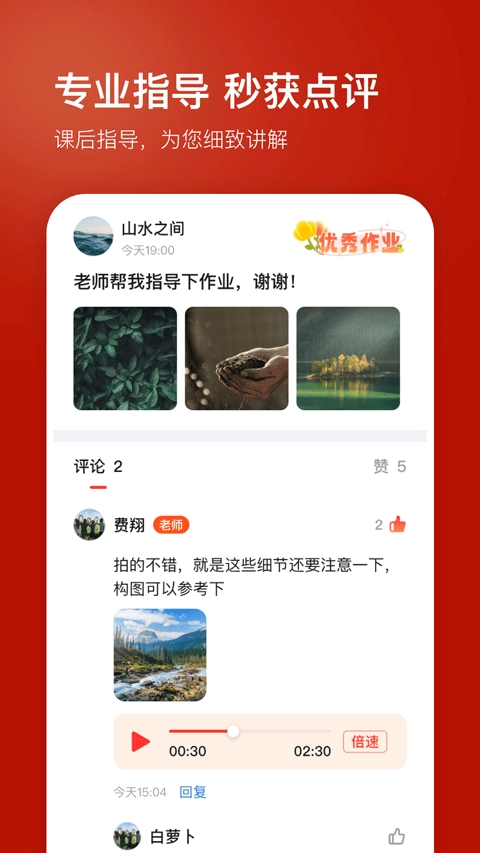 红松