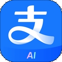 支付宝定制版