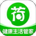荷叶健康