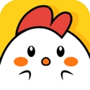 小鸡仔代售 小鸡仔代售