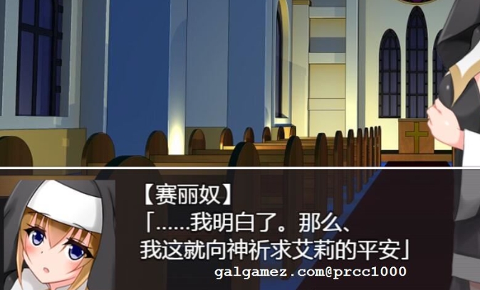 修女赛丽奴的夜行一善