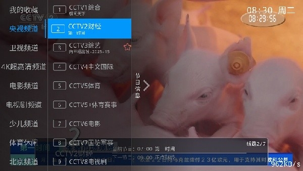兔兔TV