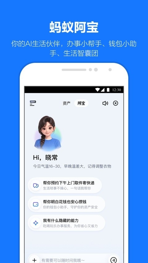 支付宝定制版