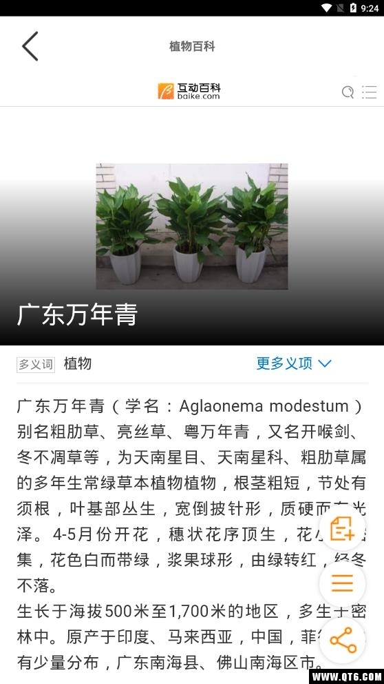 识花大师