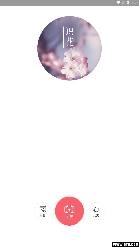 识花大师