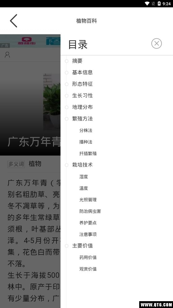 识花大师