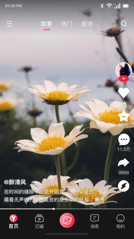 屹寻