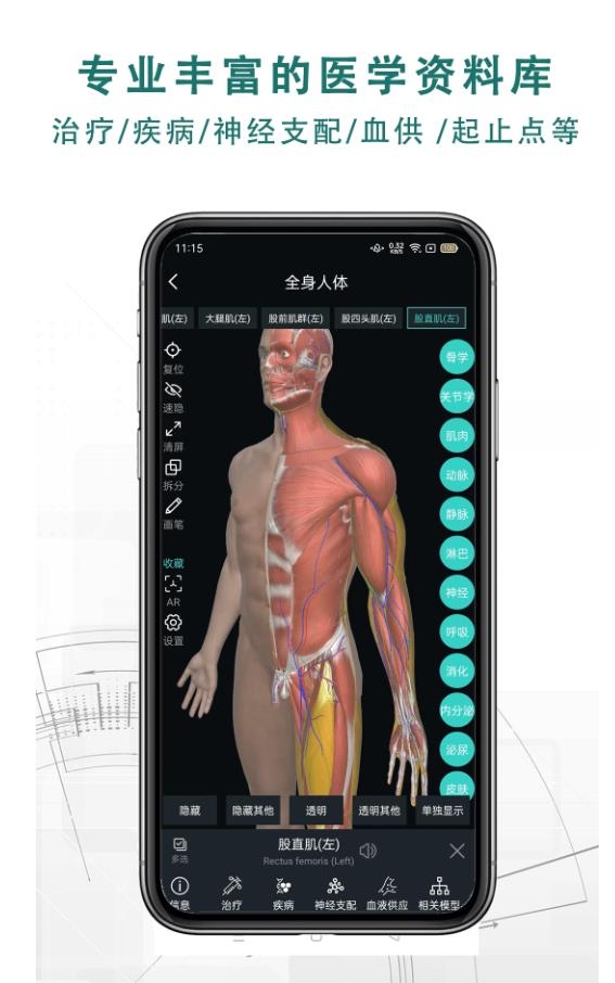 掌上3D解剖