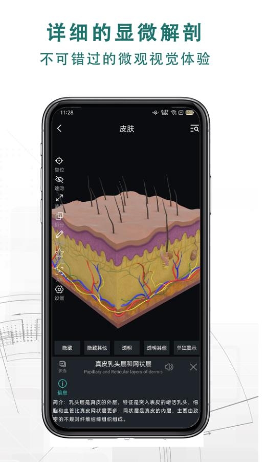掌上3D解剖