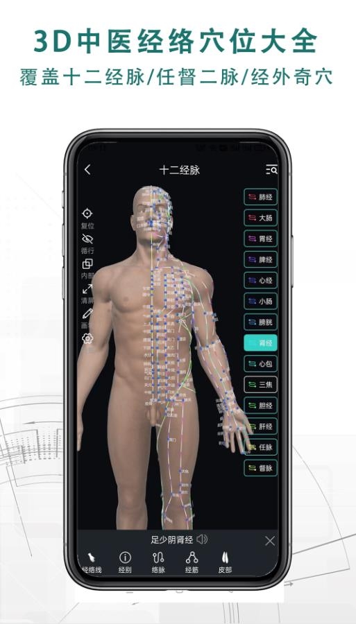 掌上3D解剖